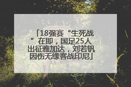 18强赛“生死战”在即，国足25人出征雅加达，刘若钒因伤无缘客战印尼