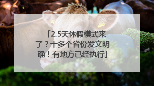 2.5天休假模式来了？十多个省份发文明确！有地方已经执行