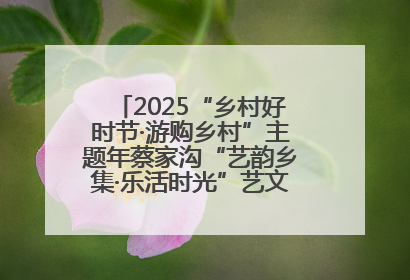 2025“乡村好时节·游购乡村”主题年蔡家沟“艺韵乡集·乐活时光”艺文嘉年华活动启幕