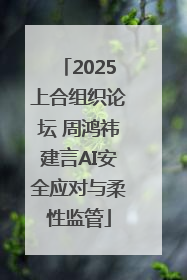 2025上合组织论坛 周鸿祎建言AI安全应对与柔性监管