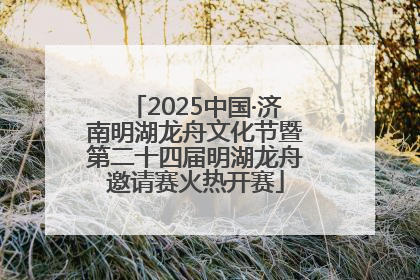 2025中国·济南明湖龙舟文化节暨第二十四届明湖龙舟邀请赛火热开赛