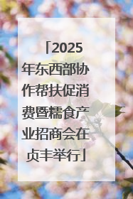 2025年东西部协作帮扶促消费暨糯食产业招商会在贞丰举行