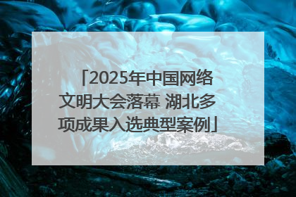 2025年中国网络文明大会落幕 湖北多项成果入选典型案例