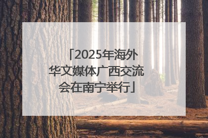 2025年海外华文媒体广西交流会在南宁举行
