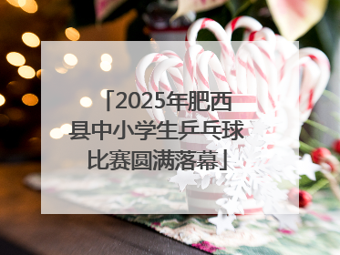 2025年肥西县中小学生乒乓球比赛圆满落幕