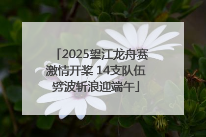 2025望江龙舟赛激情开桨 14支队伍劈波斩浪迎端午