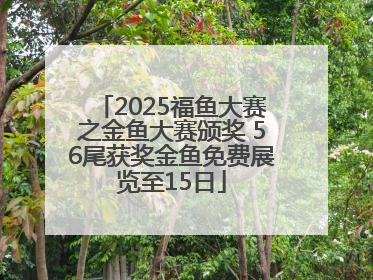 2025福鱼大赛之金鱼大赛颁奖 56尾获奖金鱼免费展览至15日