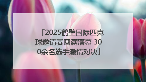 2025鹤壁国际匹克球邀请赛圆满落幕 300余名选手激情对决