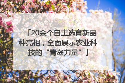 20余个自主选育新品种亮相，全面展示农业科技的“青岛力量”