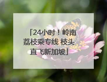 24小时！岭南荔枝乘专线 枝头直飞新加坡