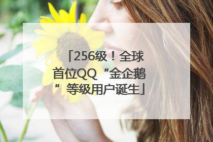 256级！全球首位QQ“金企鹅”等级用户诞生