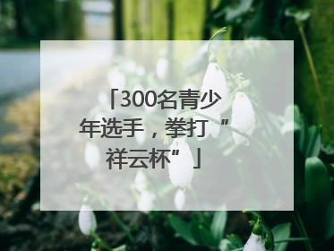 300名青少年选手，拳打“祥云杯”