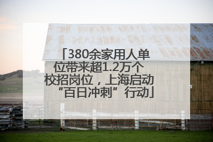 380余家用人单位带来超1.2万个校招岗位，上海启动“百日冲刺”行动