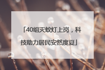 40组灭蚊灯上岗，科技助力居民安然度夏