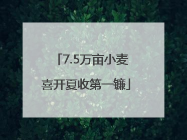 7.5万亩小麦喜开夏收第一镰