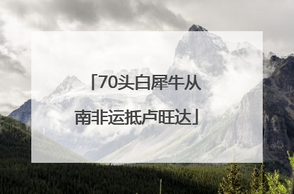 70头白犀牛从南非运抵卢旺达