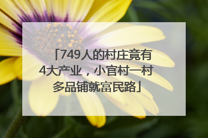 749人的村庄竟有4大产业，小官村一村多品铺就富民路