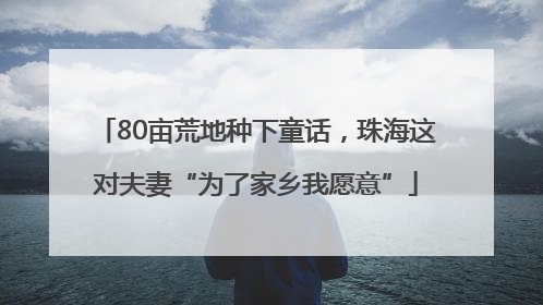 80亩荒地种下童话，珠海这对夫妻“为了家乡我愿意”