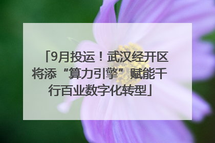 9月投运！武汉经开区将添“算力引擎”赋能千行百业数字化转型