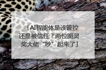 AI智能体是该管控还是被信任？两位图灵奖大佬“吵”起来了