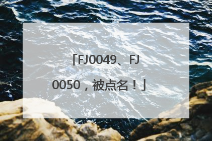 FJ0049、FJ0050，被点名！